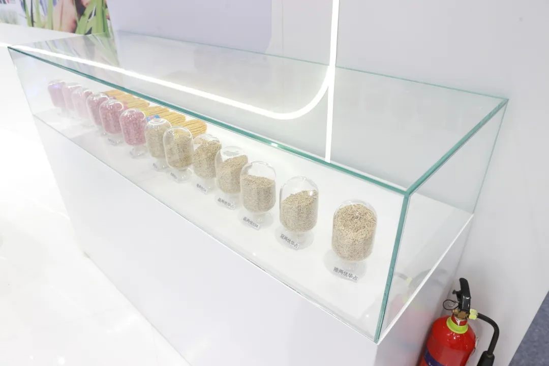 6315c32395b06.jpg 6315c32395b06.jpg